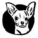 portrait de Darshan Fernando