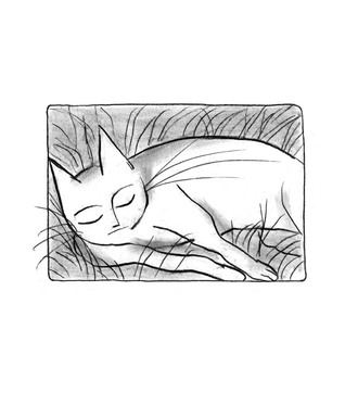 Gratin de Chat image 8