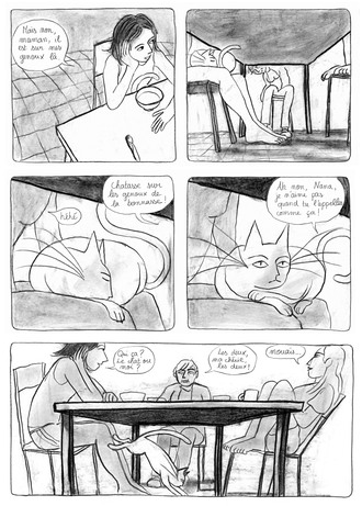 Gratin de Chat image 4