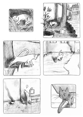 Gratin de Chat image 10