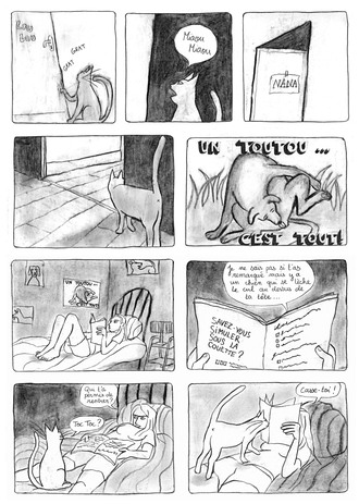 Gratin de Chat image 13