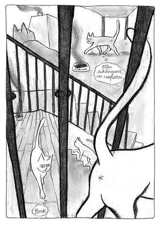 Gratin de Chat image 11