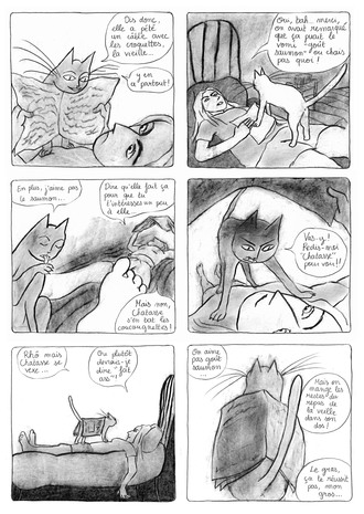 Gratin de Chat image 14