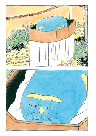 Chat Pernucci image 8