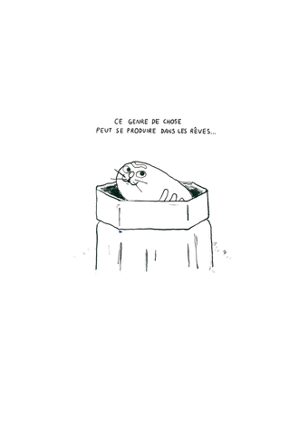 Chat Pernucci image 9