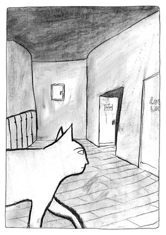 Gratin de Chat image 12