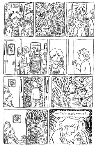 3 déclinaisons image 1