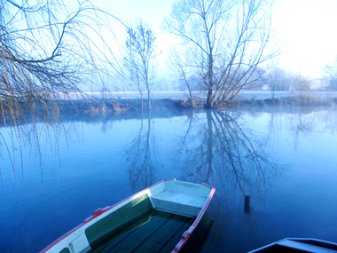 La Charente au fond du jardin