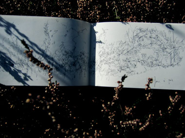 2 beaux livres, une fête&nbsp;!! - 20