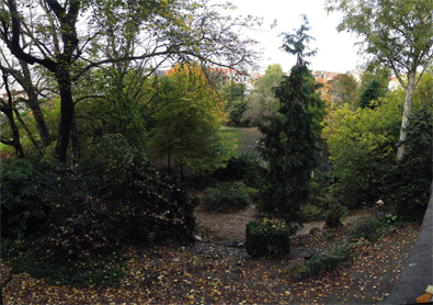 Le parc, derrière la maison...