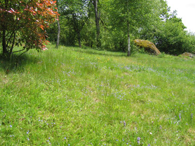Royère-de-Vassivière - 31
