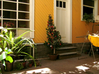 Enero en Santiago de Chili - 42