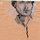 Portrait de Christophe Poot