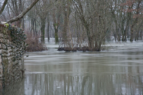 La Charente en crue