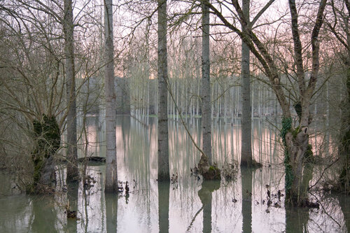 La Charente en crue