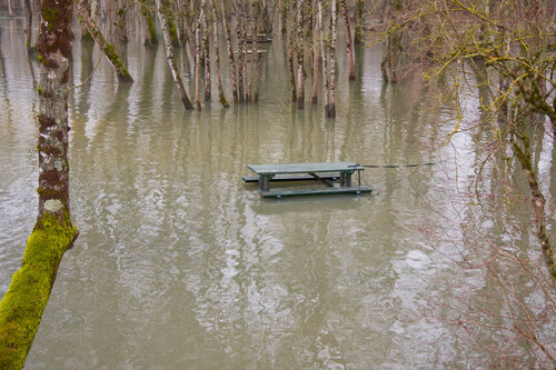 L’eau de la Charente
