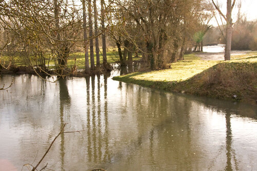 la Charente au petit matin