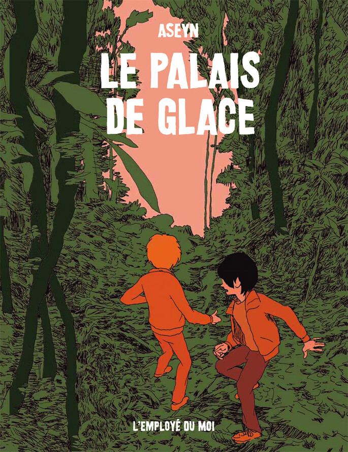 Couverture de Le Palais de glace